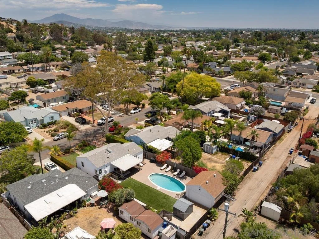 Photo of 4038 Violet