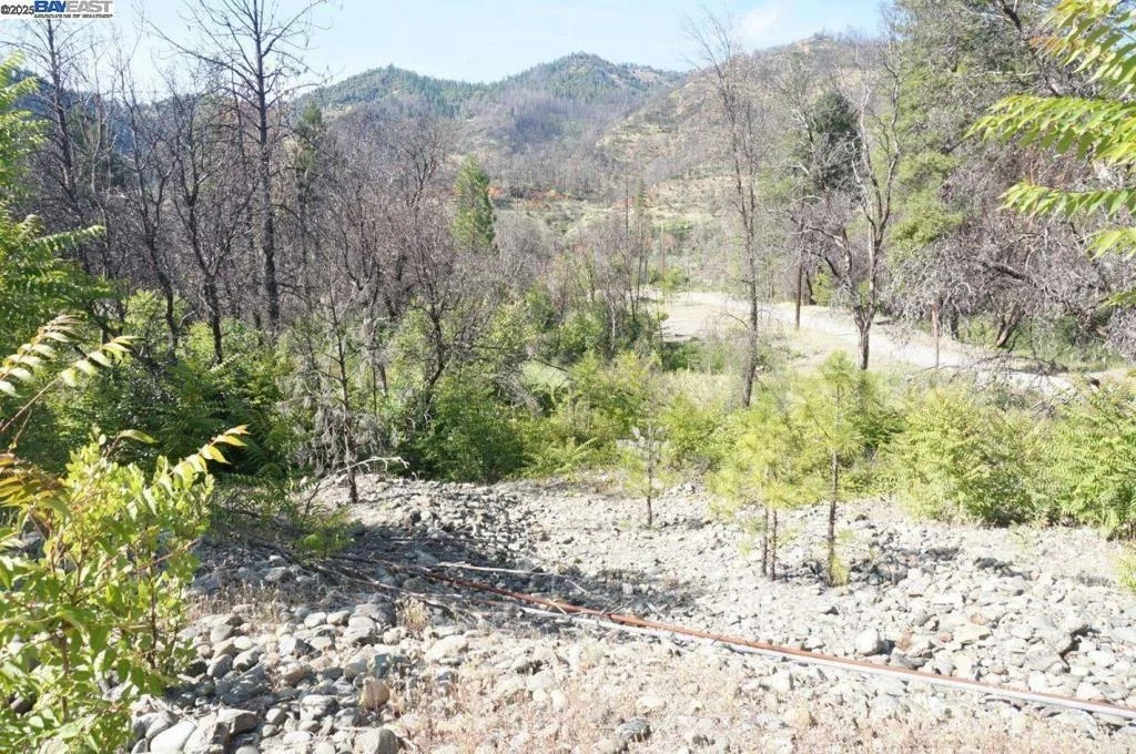 Photo of 101 River Acres