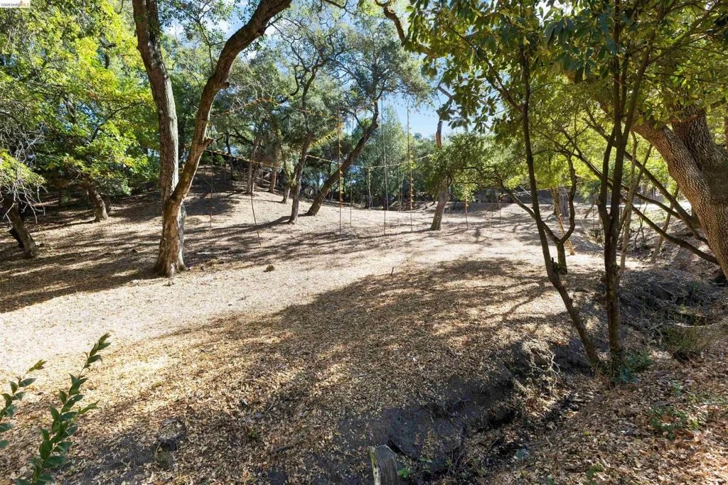 Photo of 822 Acalanes Rd
