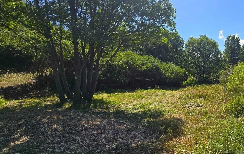 Photo of 38 Creek Rd.