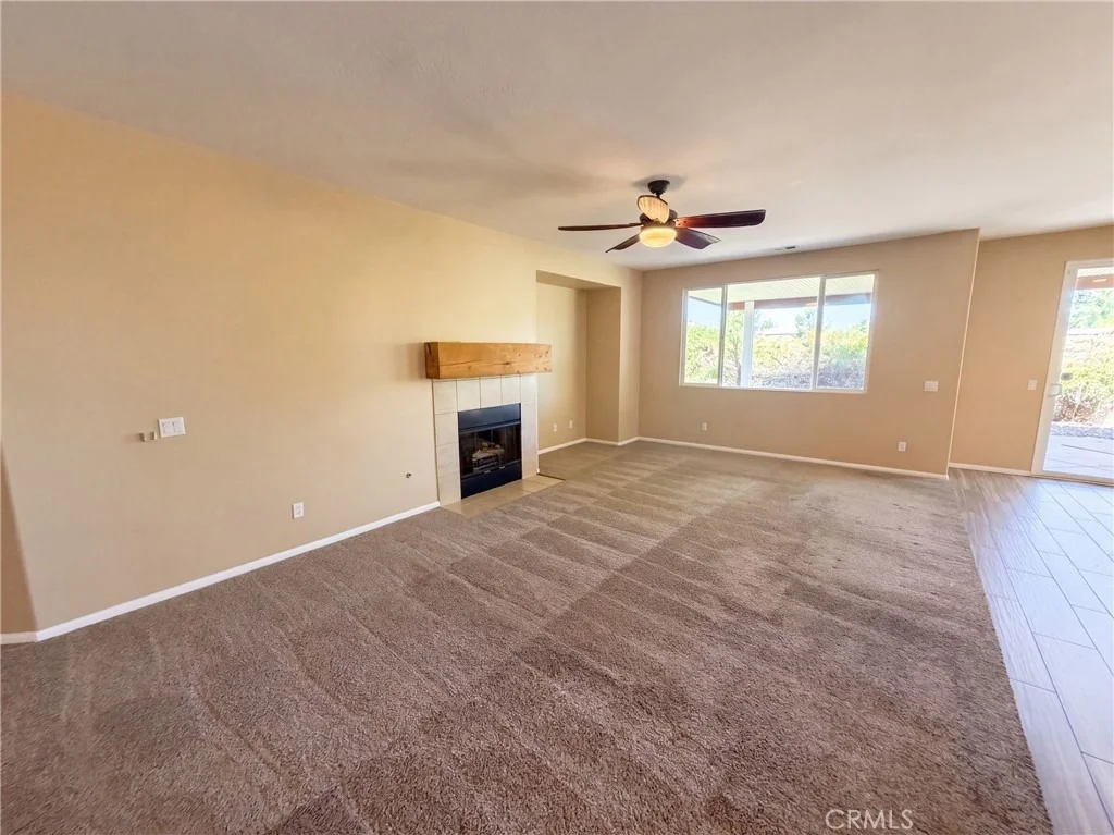 Photo of 3136 Hibiscus