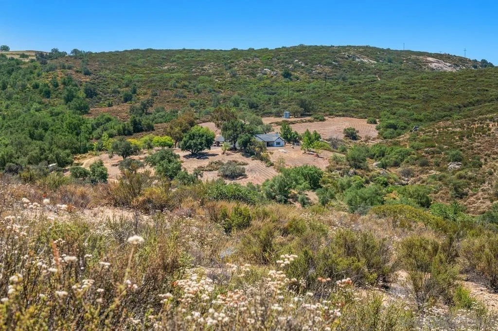Photo of 23895 Ladrido