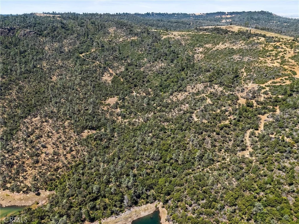 Photo of 0 Condor
