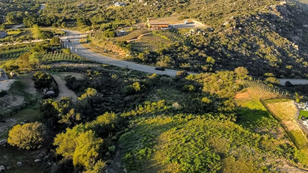 Photo of 12872 Vineyard Crest Pl