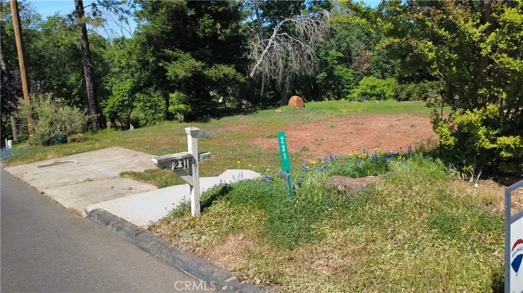 Photo of 231 Pinewood Drive
