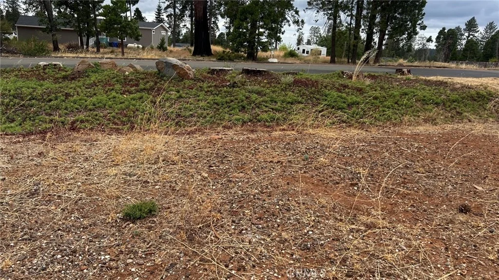 Photo of 13757 Endicot