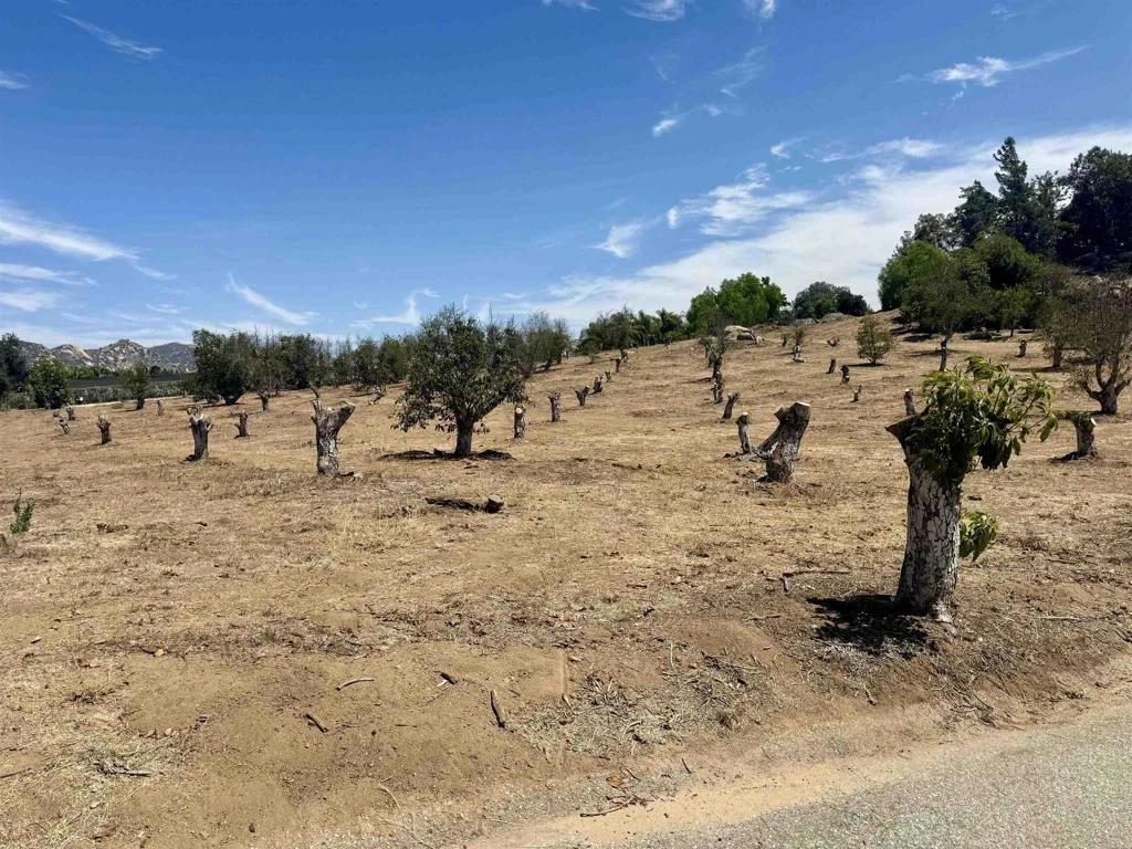 Photo of Canyon Heights Road