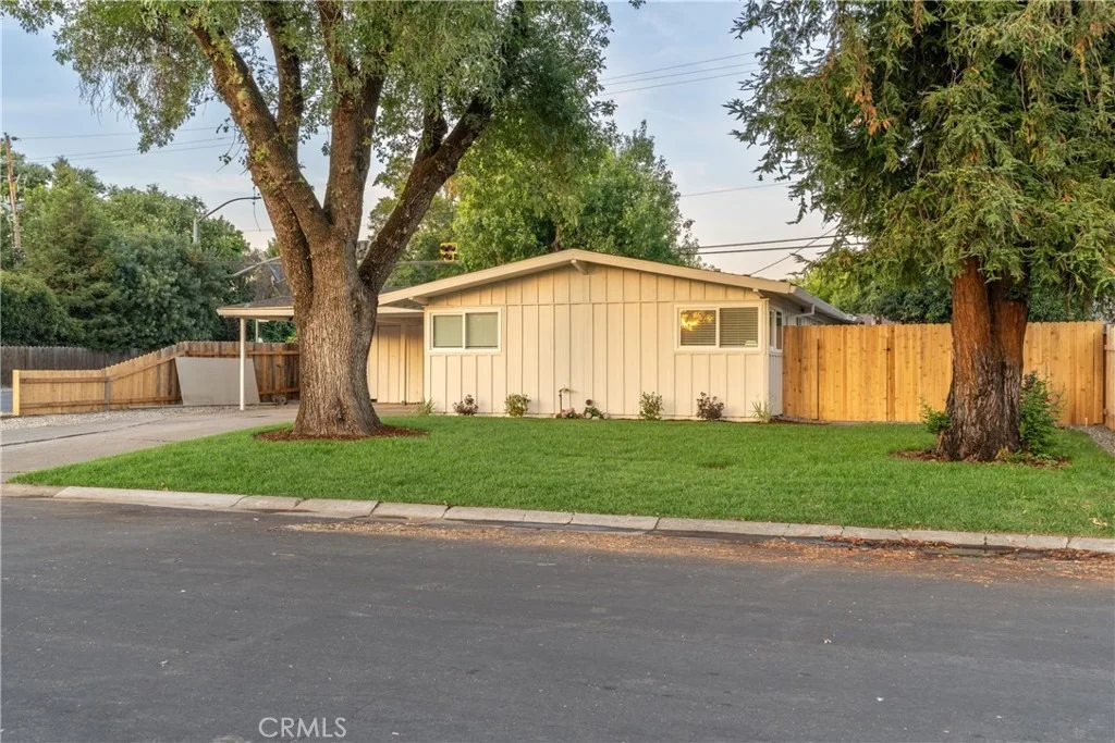 Photo of 595 White