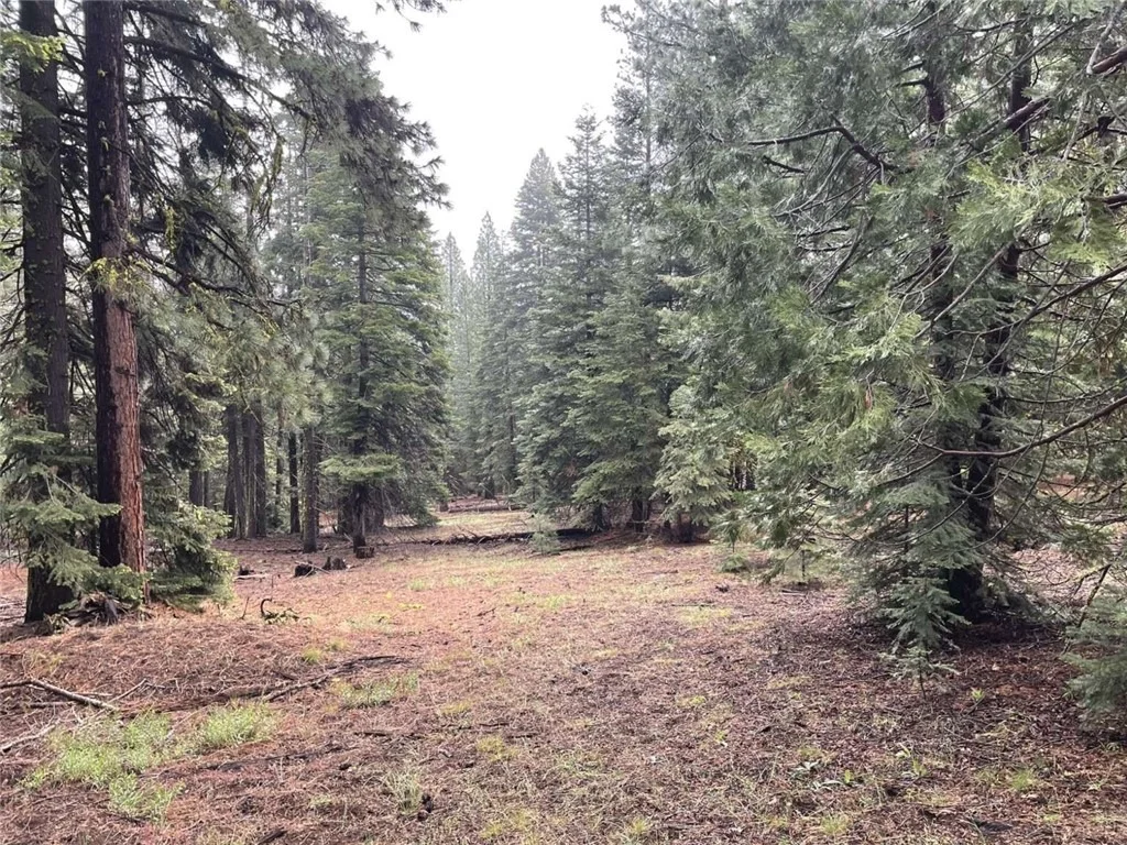 Photo of 0 Range Road