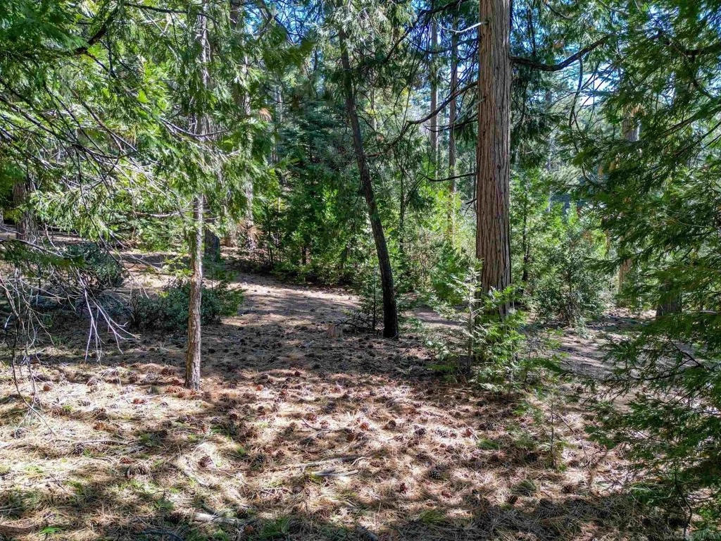 Photo of 0 Laurel Trail