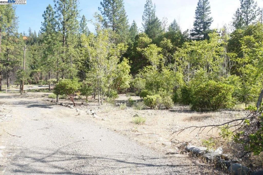 Photo of 101 River Acres