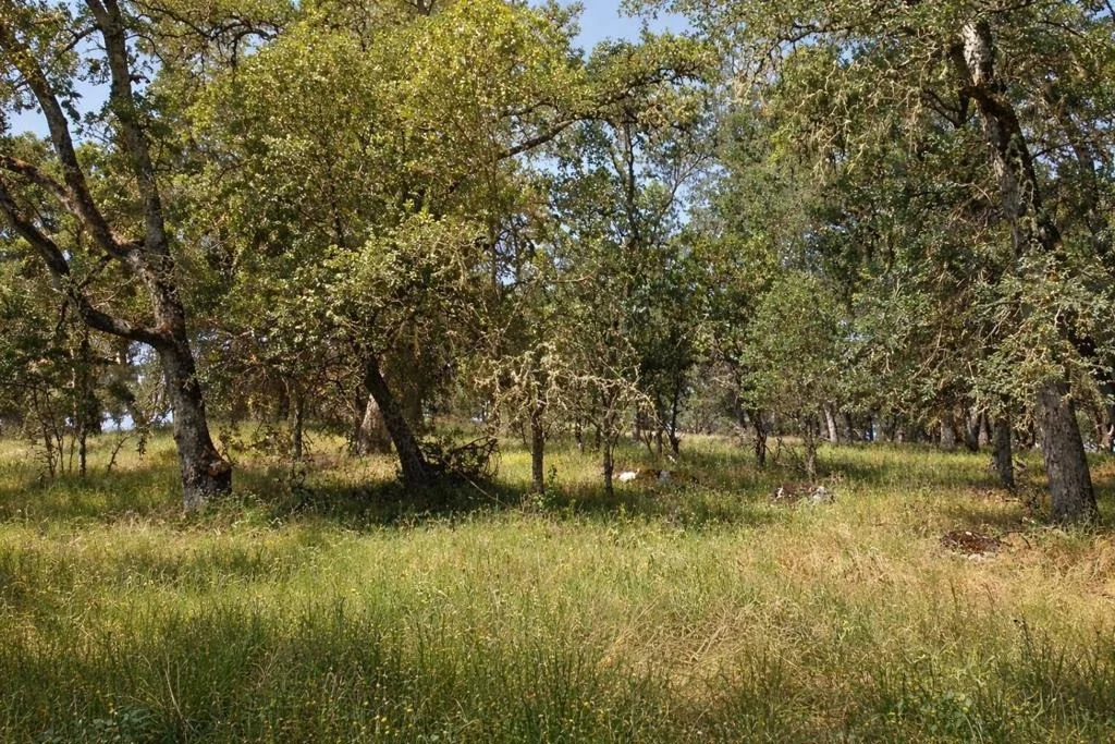 Photo of 5622 Del Sol Lane