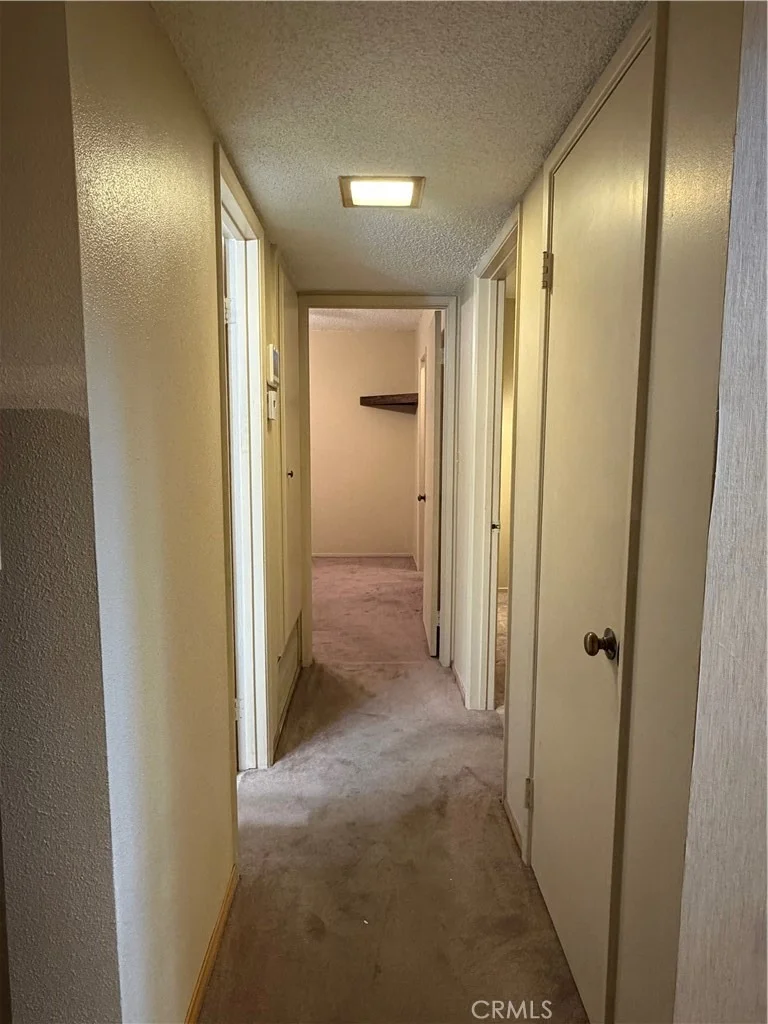 Photo of 941 Senita