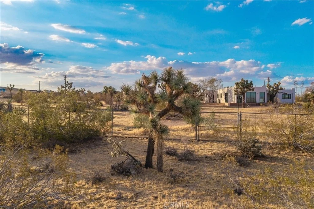 Photo of 58814 Los Coyotes