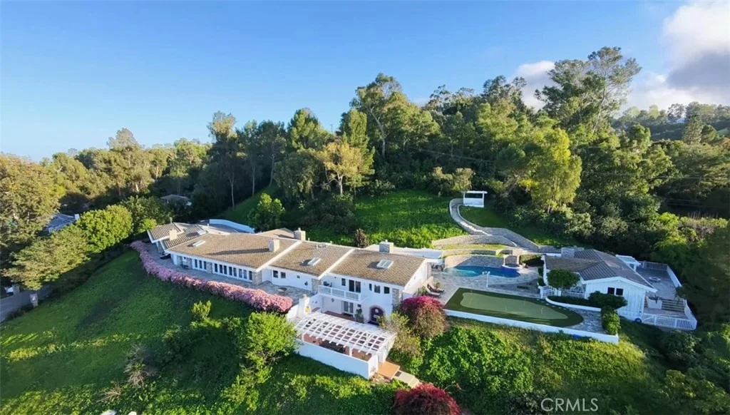 Photo of 49 Saddleback