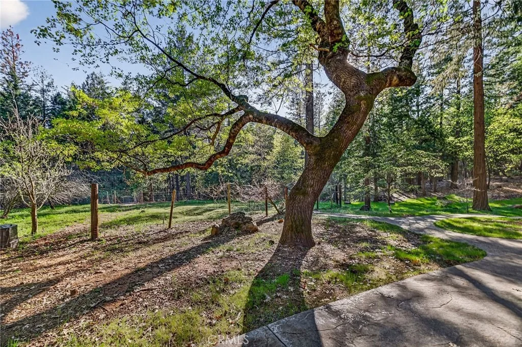 Photo of 62 Hollow Oak Lane