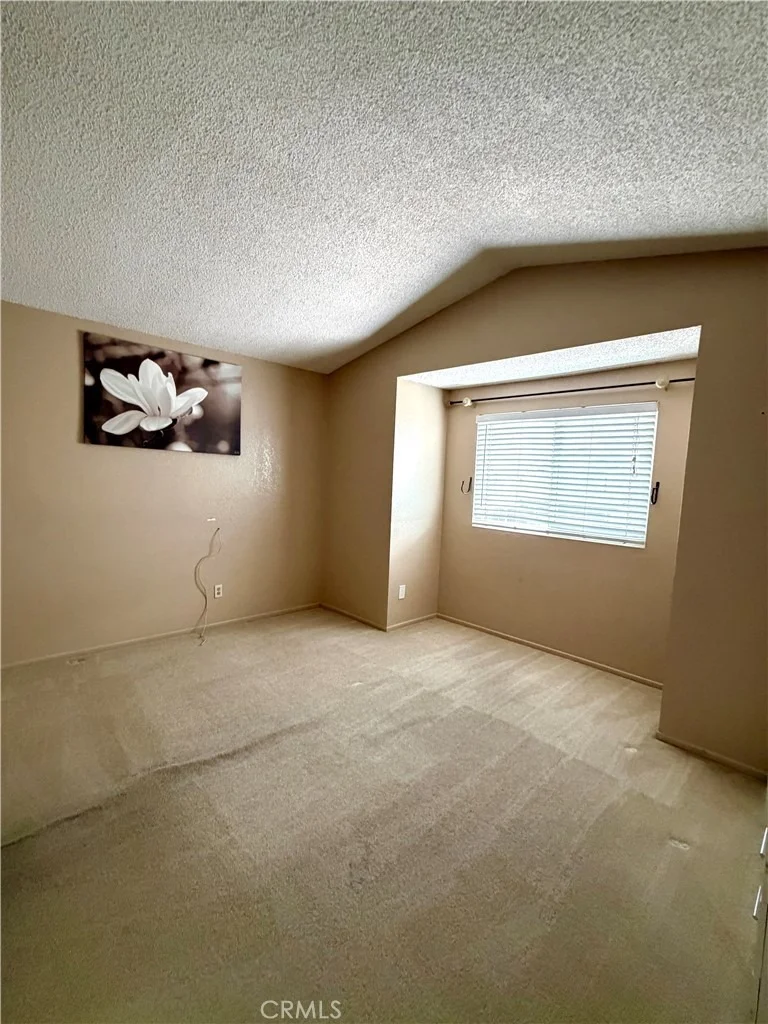 Photo of 571 Orca