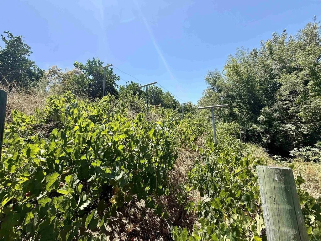 Photo of 764 Old Highway 395
