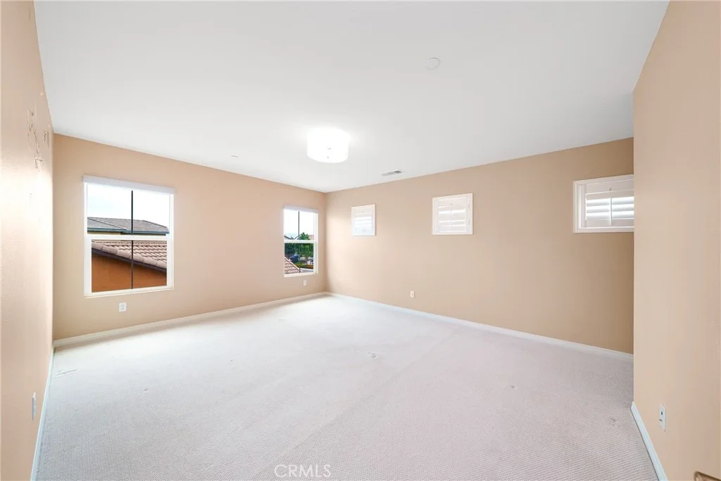 Photo of 5676 Avocet