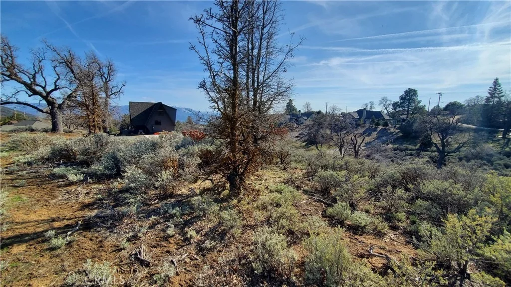 Photo of 25041 Jacaranda Drive