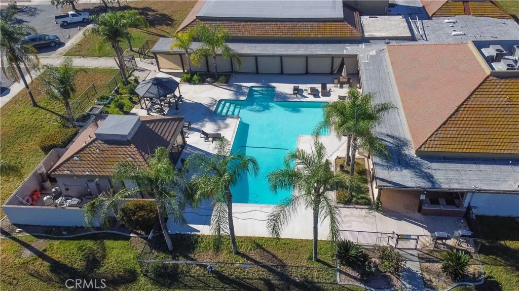 Photo of 2115 Flame Tree