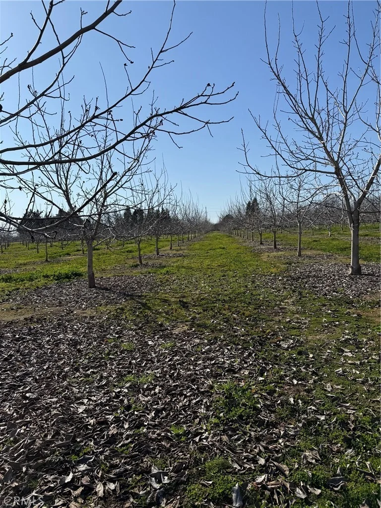 Photo of 0 Mcfadden Lane