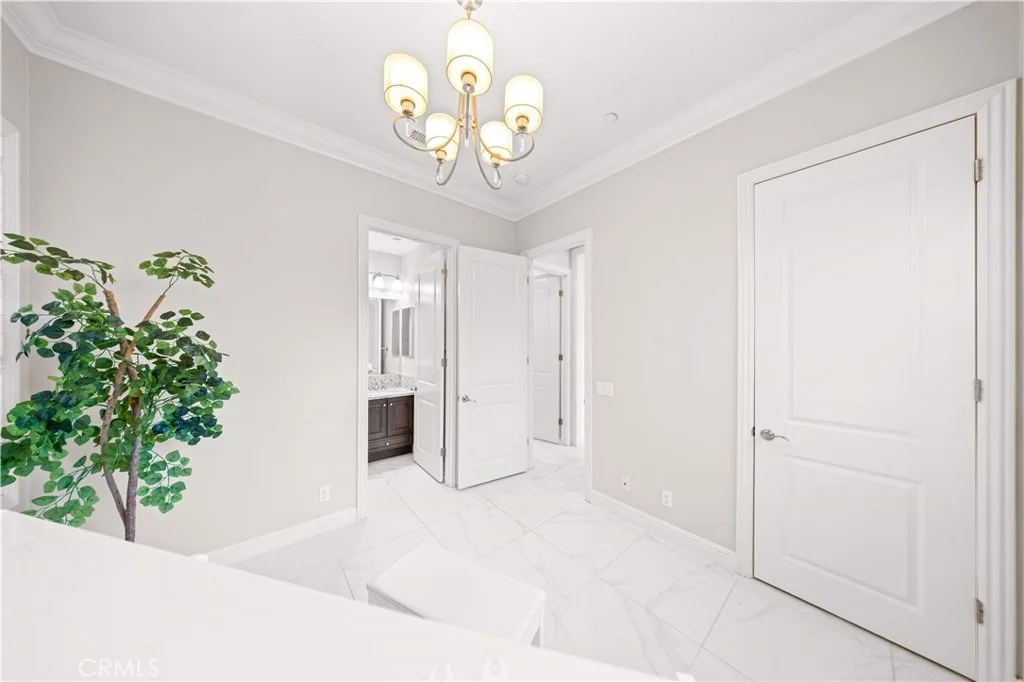 Photo of 15 Calliope