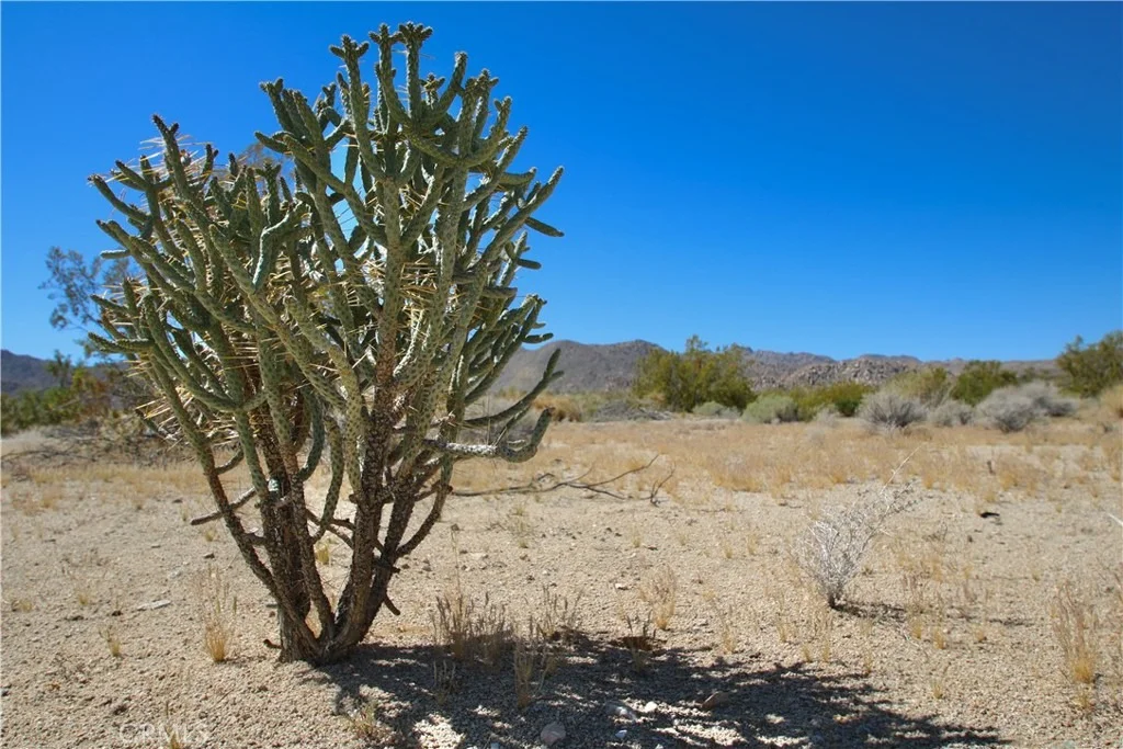 Photo of 66400 29 Palms Highway