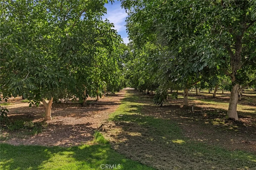 Photo of 7652 Cutting Avenue
