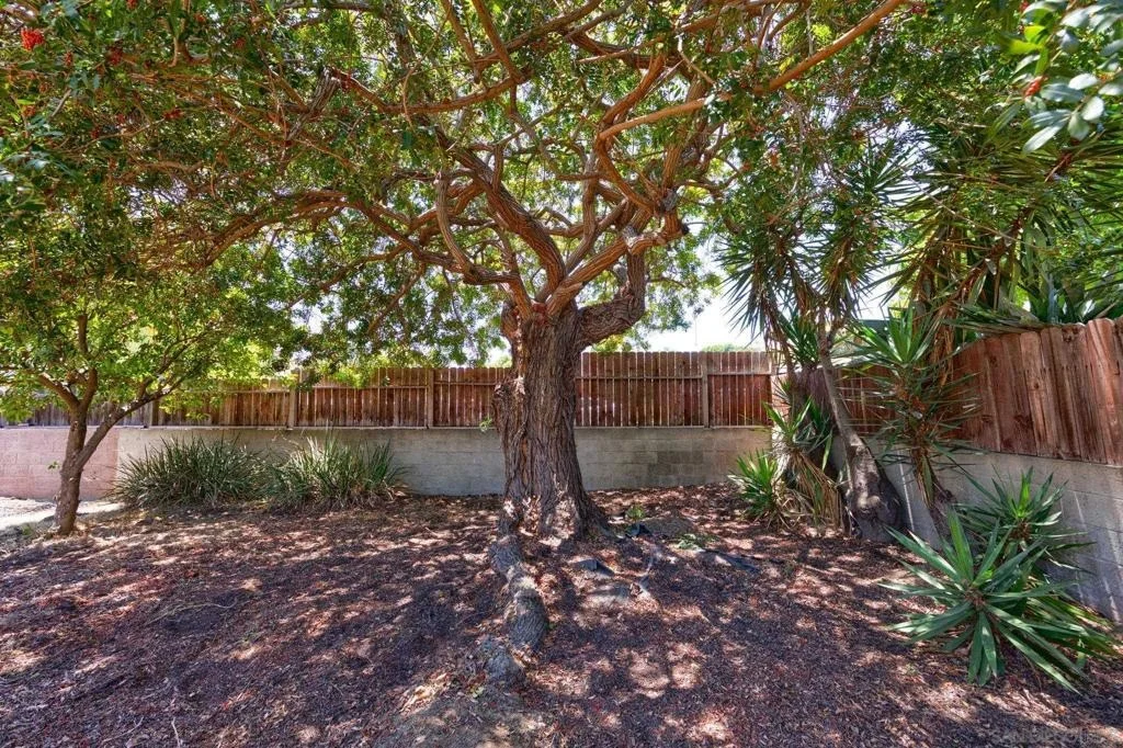 Photo of 6062 Streamview