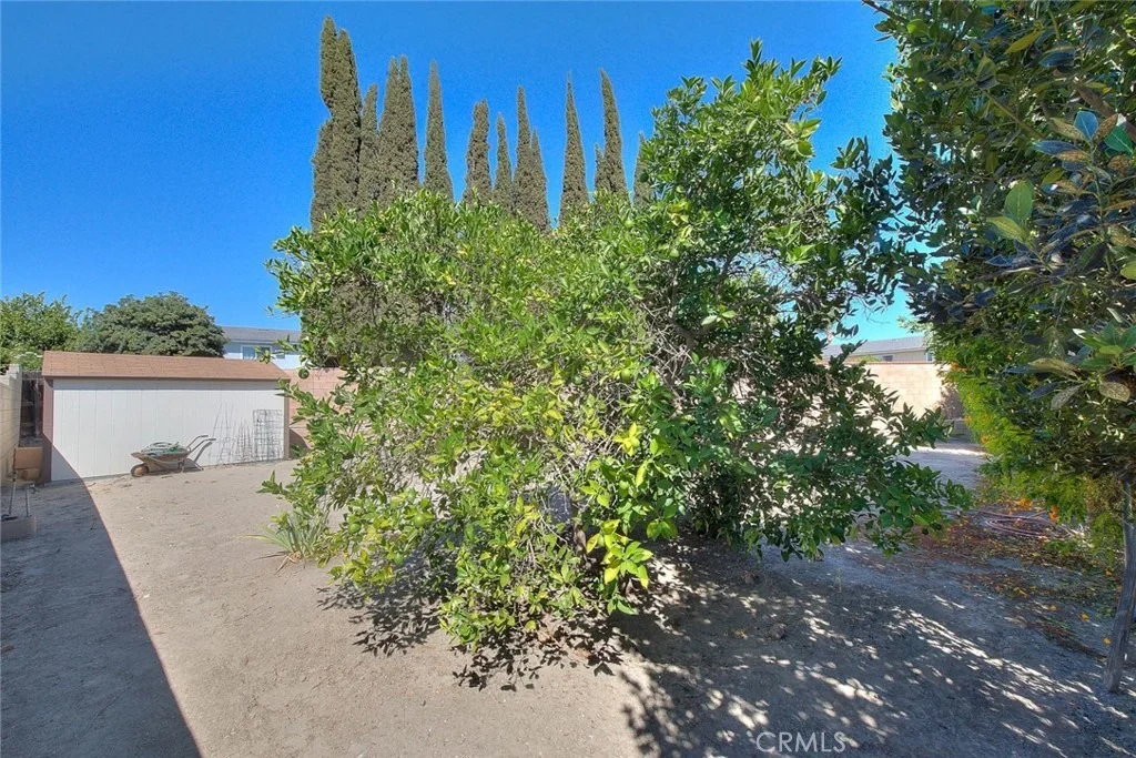 Photo of 13425 Mistletoe
