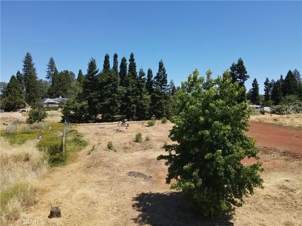 Photo of 1371 Orput
