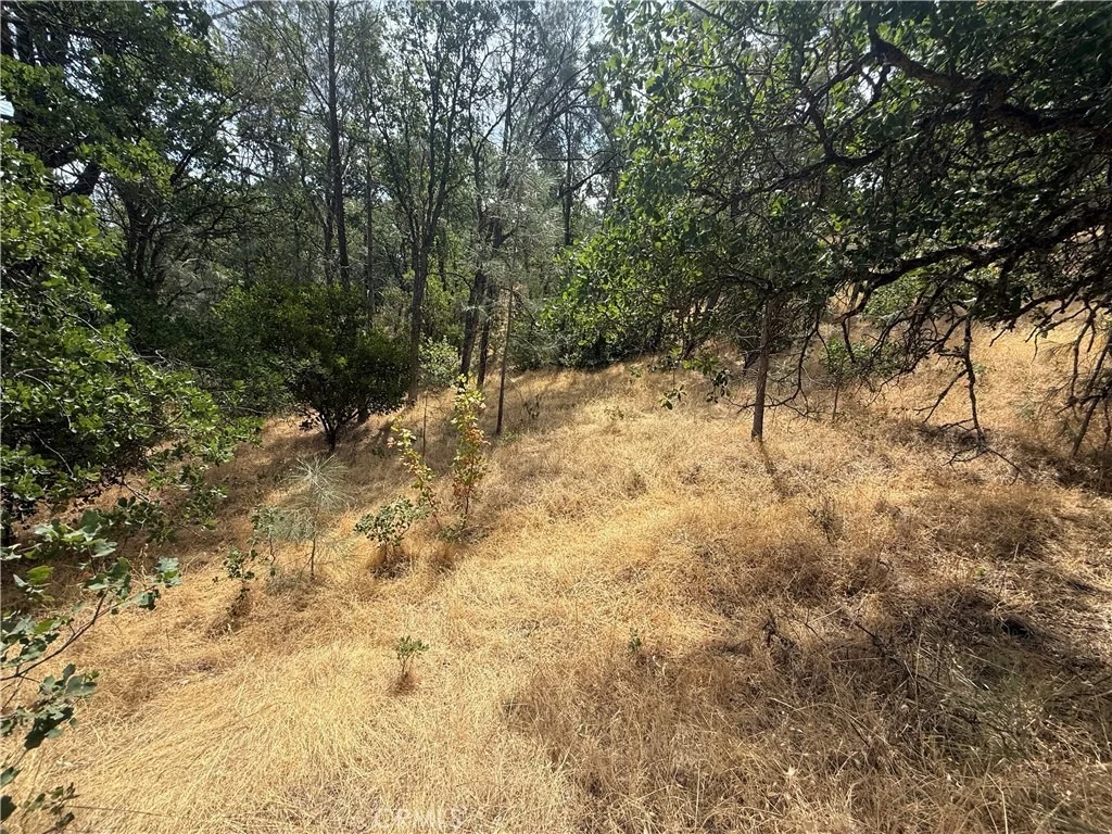 Photo of 16295 Hillcrest Drive