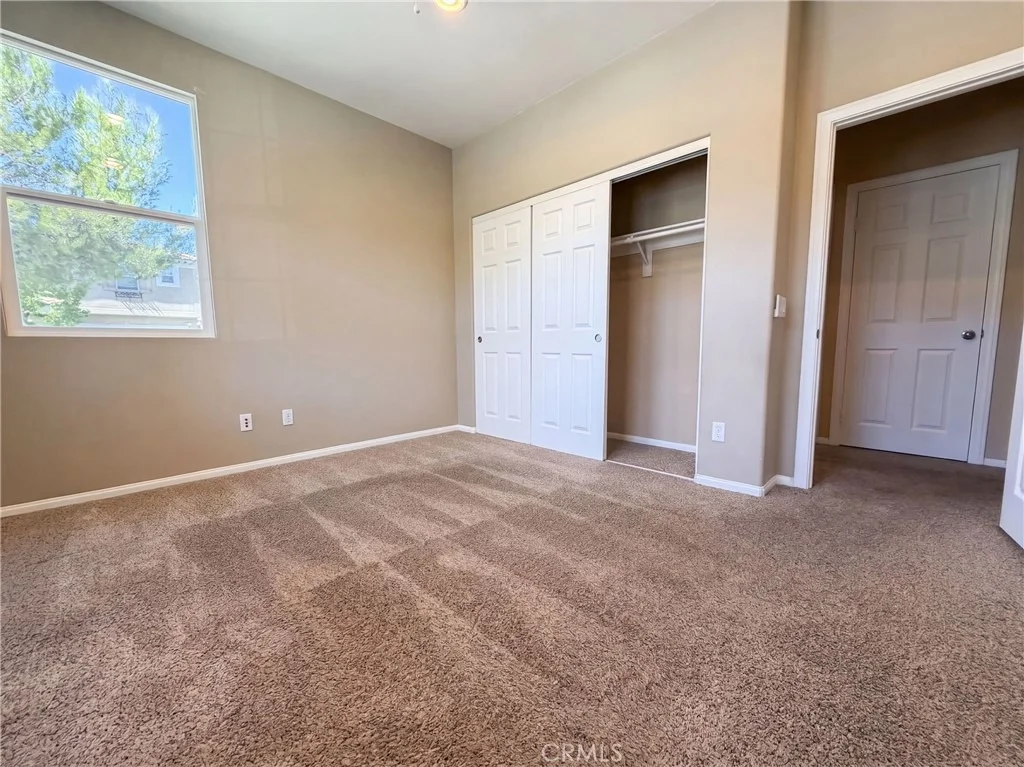 Photo of 3136 Hibiscus