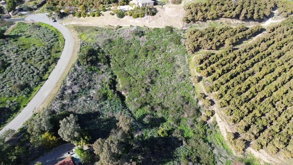 Photo of 1560 Camino Corto