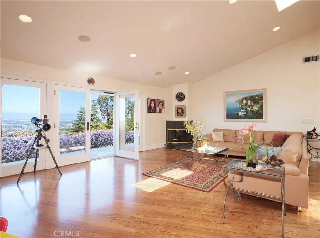 Photo of 49 Saddleback