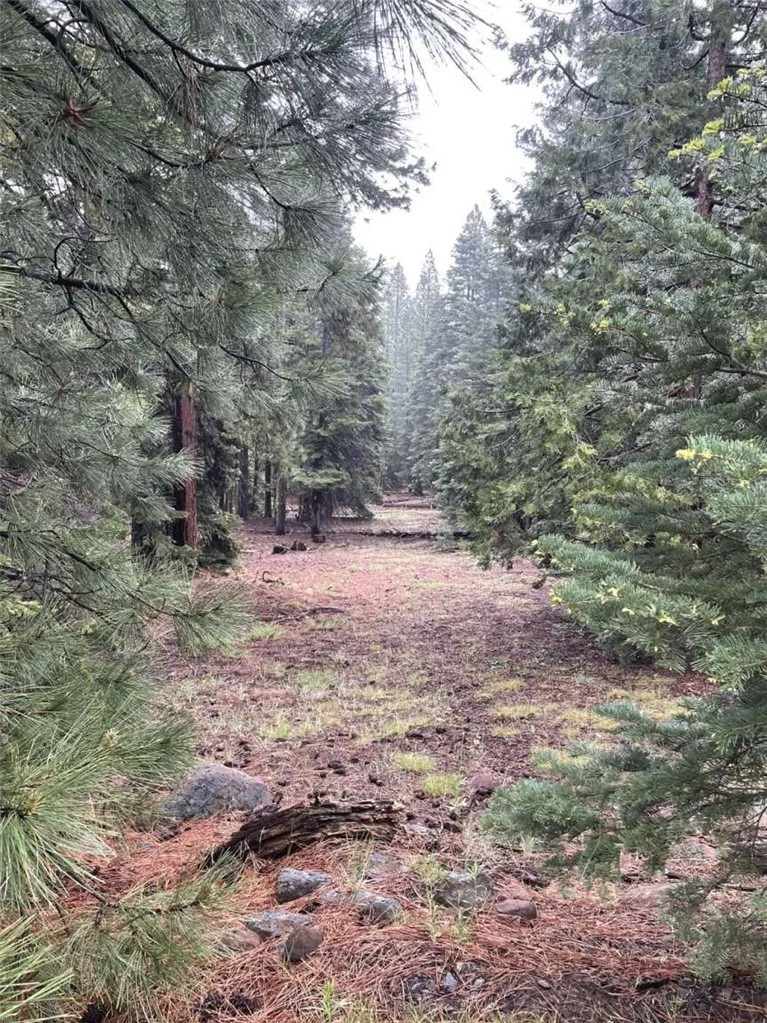 Photo of 0 Range Road