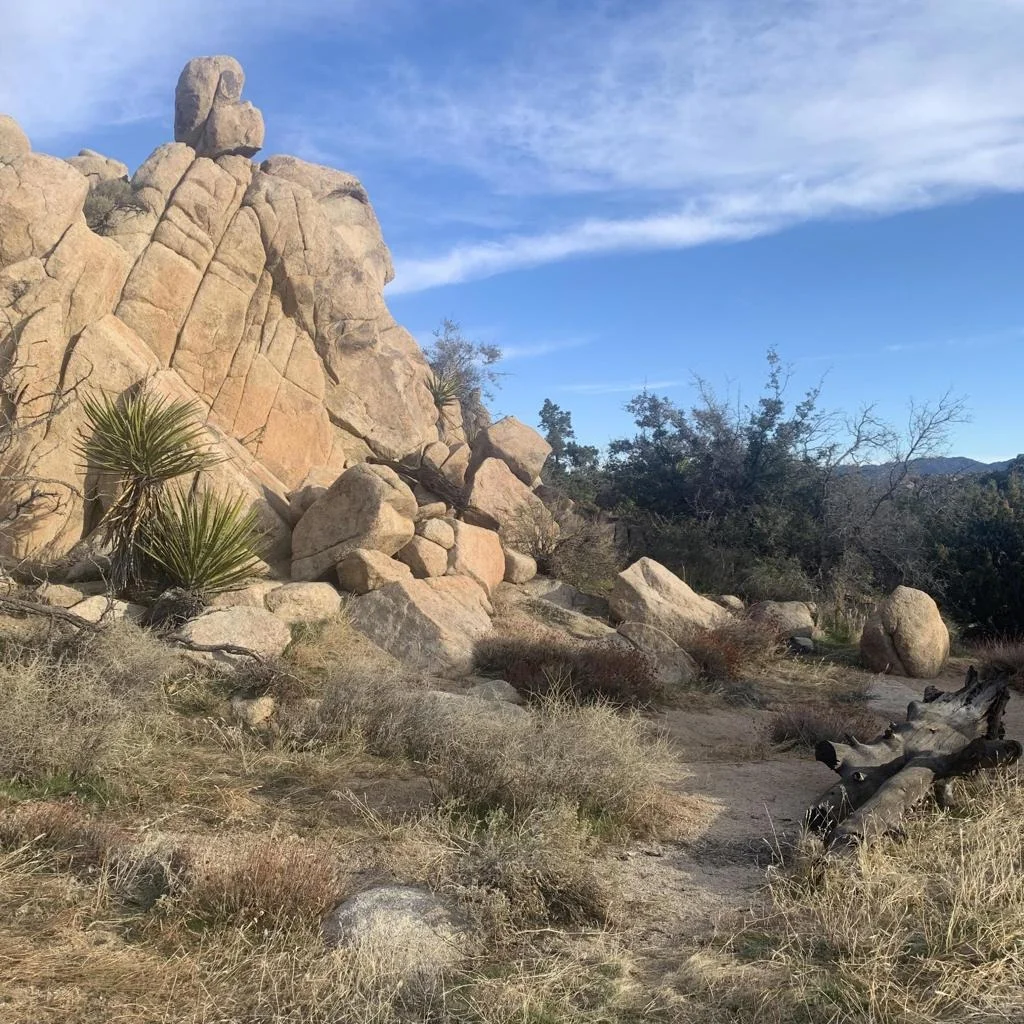 Photo of 5850 Cactus Canyon Trail