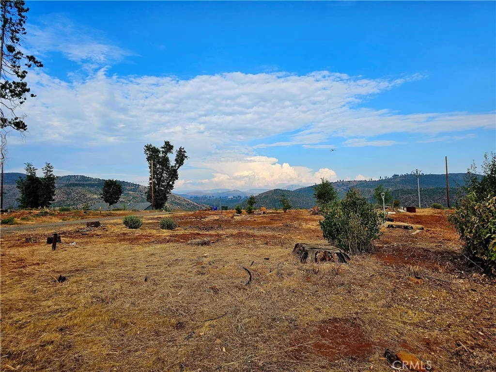 Photo of 2015 Picnic Lane