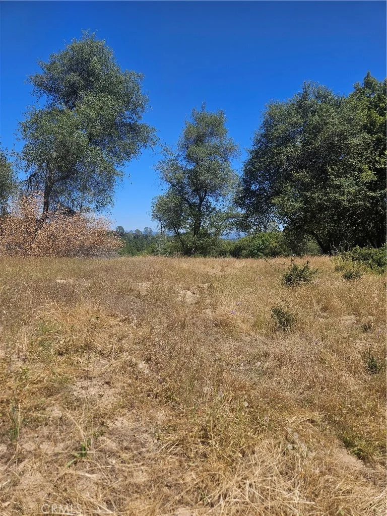 Photo of 1371 Moccasin Trail