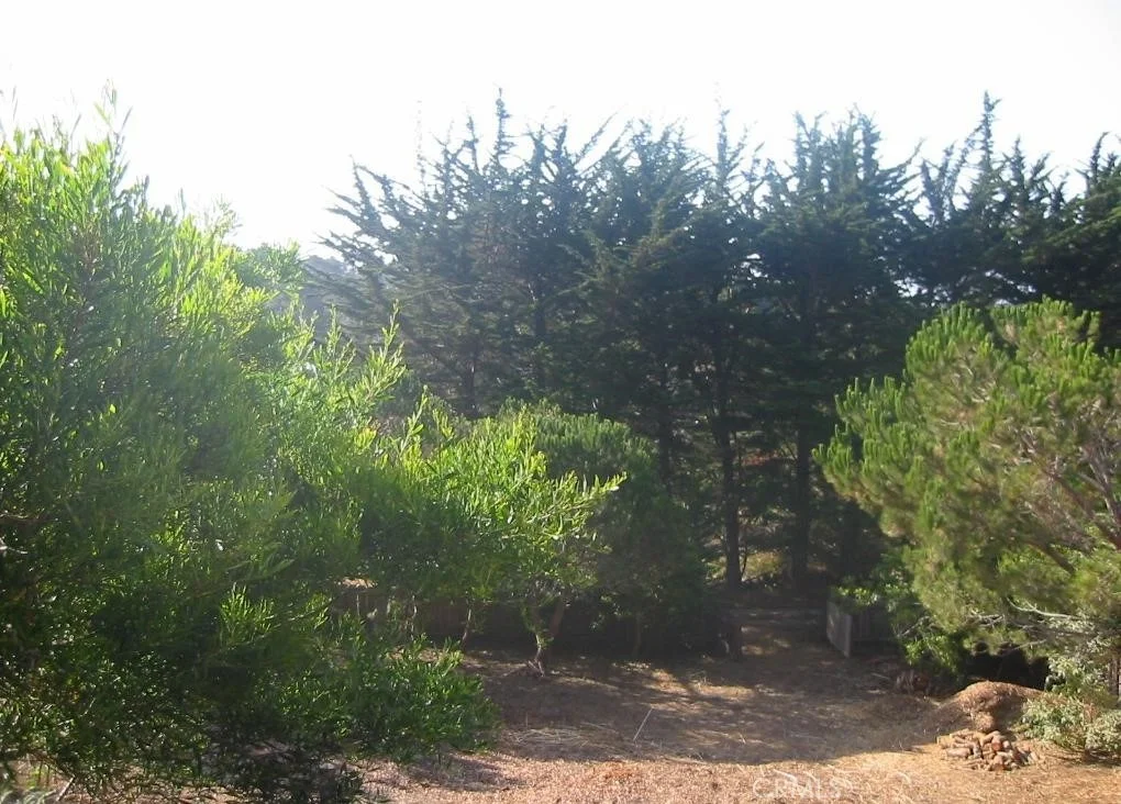 Photo of 195 Spindrift Road