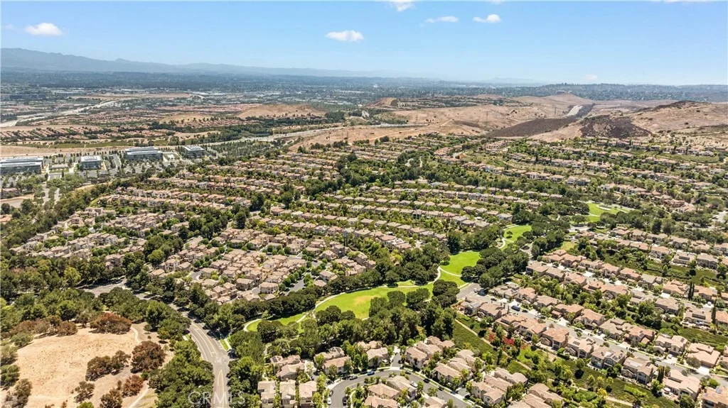 Photo of 97 Canopy