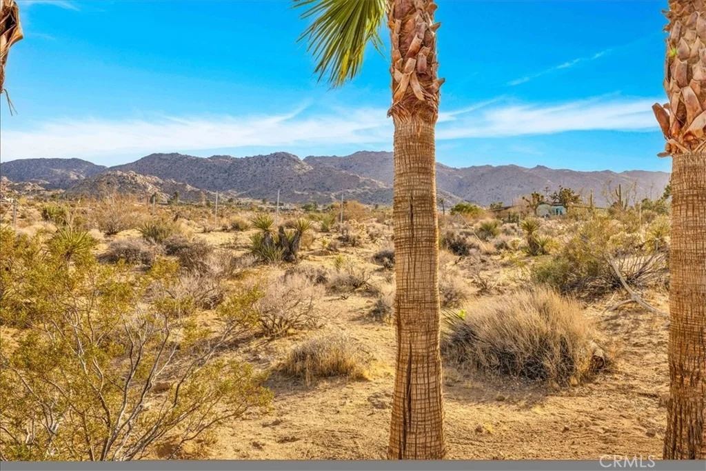 Photo of 7423 Juniper Road