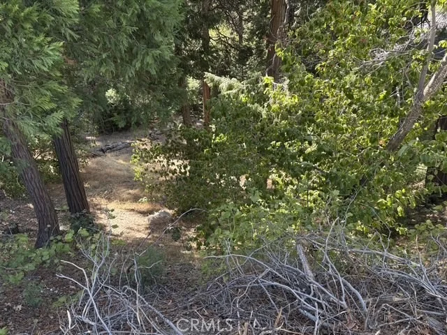 Photo of 27917 Squirrel Lane