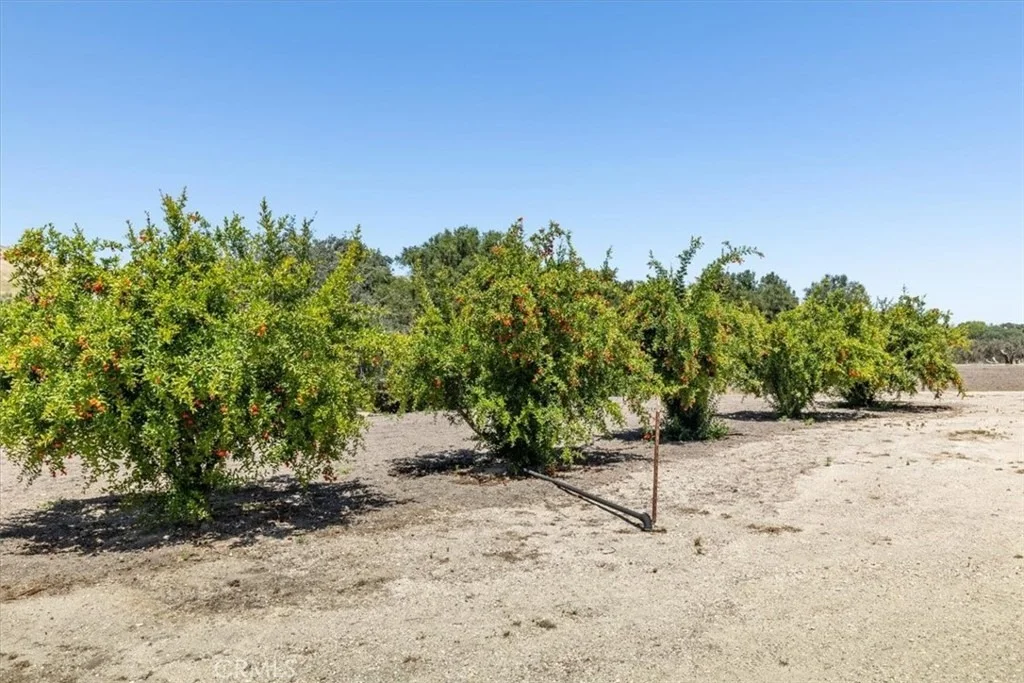 Photo of 3110 Nacimiento Lake Drive