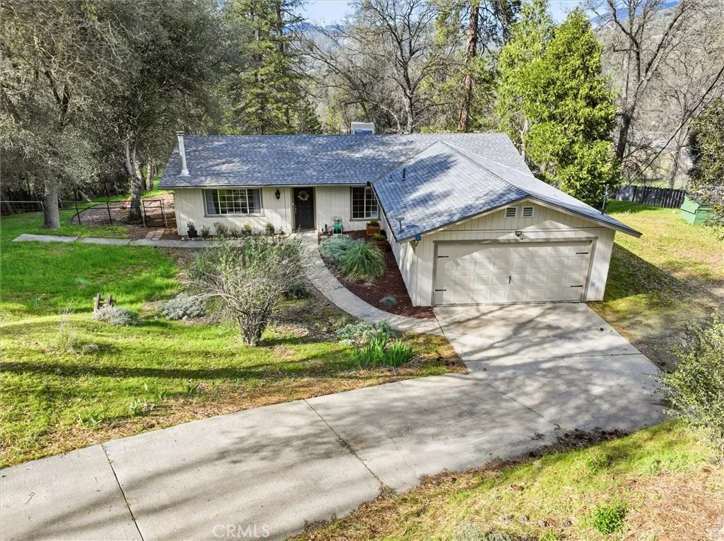 Photo of 50047 Hangtree