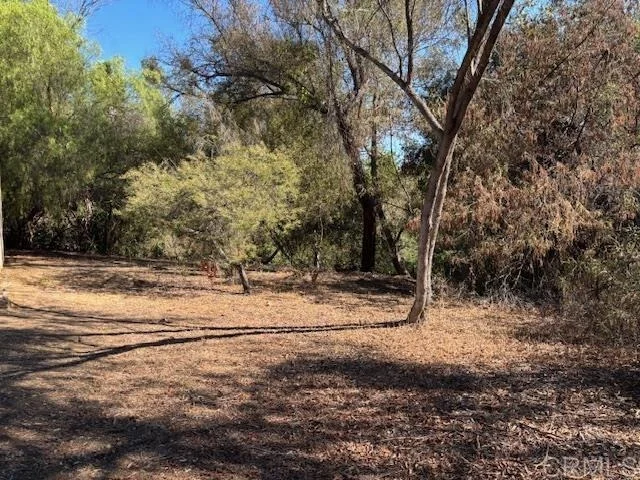 Photo of 2852 Via Arroyo