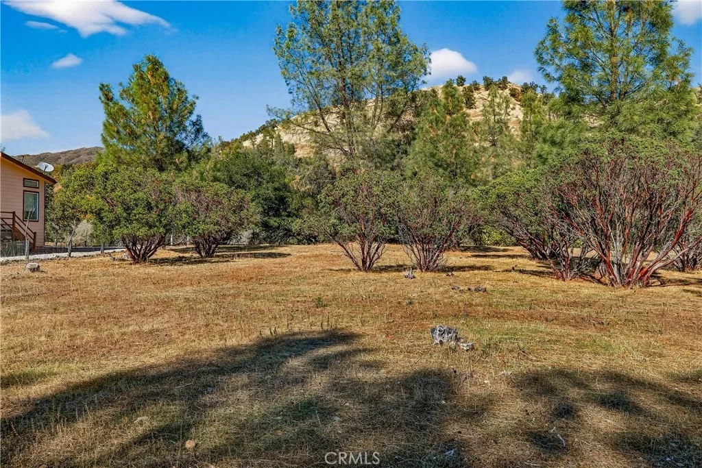 Photo of 3245 Weeping Willow Way