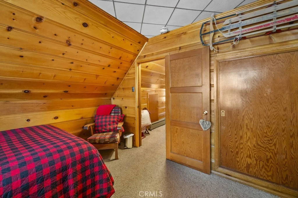 Photo of 39161 Buckthorn