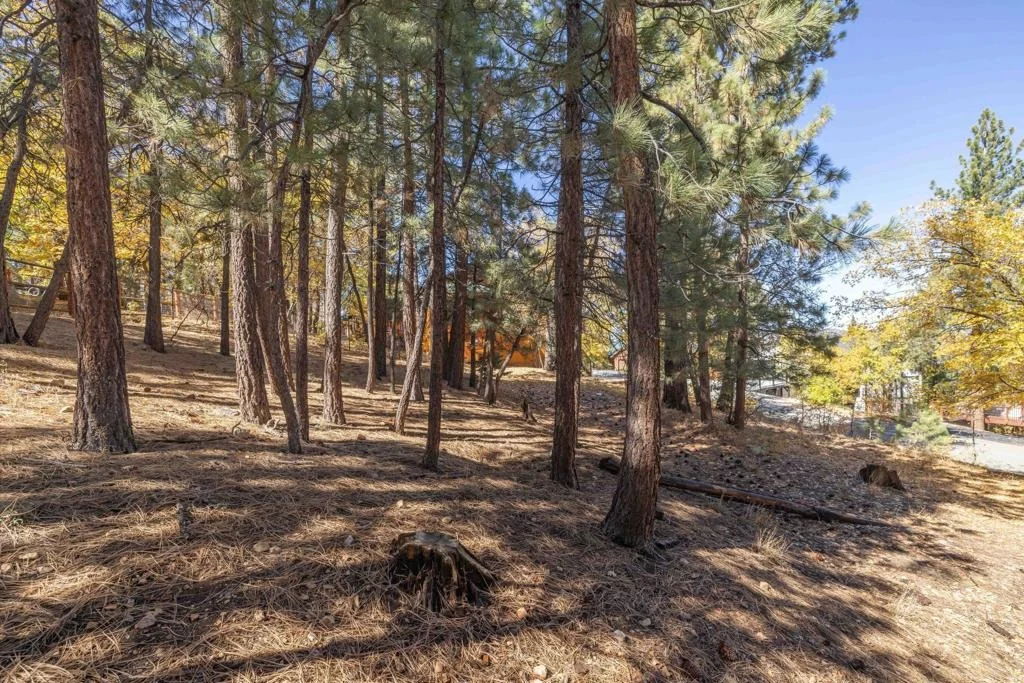 Photo of 1409 Klamath Road